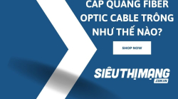 Cáp quang Fiber Optic Cable trông như thế nào?
