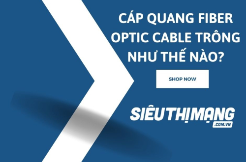 Cáp quang Fiber Optic Cable trông như thế nào?