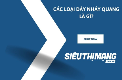 Các loại dây nhảy quang là gì?