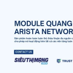 Module Arista chính hãng