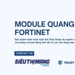 Module Fortinet chính hãng