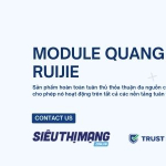 Module Ruijie chính hãng