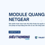 Module Netgear chính hãng