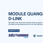 Module Dlink chính hãng