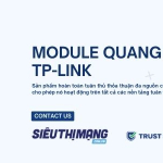 Module Tplink chính hãng