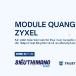 Module Zyxel chính hãng