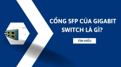 Cổng SFP của Gigabit Switch là gì?