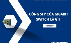 Cổng SFP của Gigabit Switch là gì?