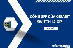 Cổng SFP của Gigabit Switch là gì?
