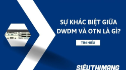 Sự khác biệt giữa DWDM và OTN là gì?