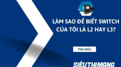 Làm sao để biết switch của tôi là l2 hay l3?