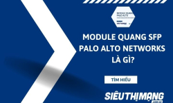 Module quang SFP Palo Alto Networks là gì?