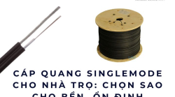 Cáp quang singlemode cho nhà trọ: Chọn sao cho bền, ổn định