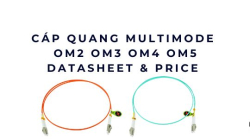 Cáp quang là gì? Phân biệt cáp quang Singlemode và Multimode, chọn loại nào cho đúng?