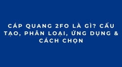 Cáp Quang 2FO Là Gì? Cấu Tạo, Phân Loại, Ứng Dụng & Cách Chọn