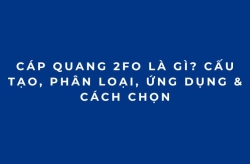 Cáp Quang 2FO Là Gì? Cấu Tạo, Phân Loại, Ứng Dụng & Cách Chọn