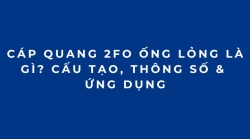 Cáp Quang 2FO Ống Lỏng Là Gì? Cấu Tạo, Thông Số & Ứng Dụng