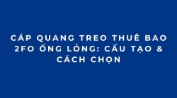 Cáp Quang Treo Thuê Bao 2FO Ống Lỏng: Cấu Tạo & Cách Chọn