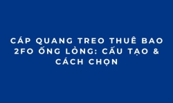 Cáp Quang Treo Thuê Bao 2FO Ống Lỏng: Cấu Tạo & Cách Chọn