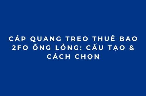 Cáp Quang Treo Thuê Bao 2FO Ống Lỏng: Cấu Tạo & Cách Chọn