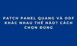 Patch Panel Quang Và ODF Khác Nhau Thế Nào? Cách Chọn Đúng