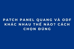 Patch Panel Quang Và ODF Khác Nhau Thế Nào? Cách Chọn Đúng