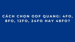 Cách Chọn ODF Quang: 4FO, 8FO, 12FO, 24FO Hay 48FO?