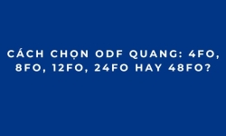 Cách Chọn ODF Quang: 4FO, 8FO, 12FO, 24FO Hay 48FO?