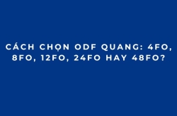 Cách Chọn ODF Quang: 4FO, 8FO, 12FO, 24FO Hay 48FO?