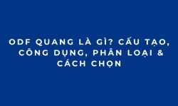 ODF Quang Là Gì? Cấu Tạo, Công Dụng, Phân Loại & Cách Chọn