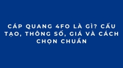 Cáp quang 4FO là gì? Cấu tạo, thông số, giá và cách chọn chuẩn