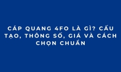 Cáp quang 4FO là gì? Cấu tạo, thông số, giá và cách chọn chuẩn